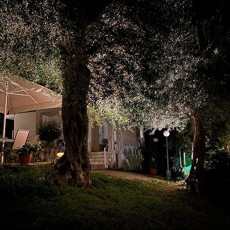 Casa Sofia Villa Дасия Екстериор снимка