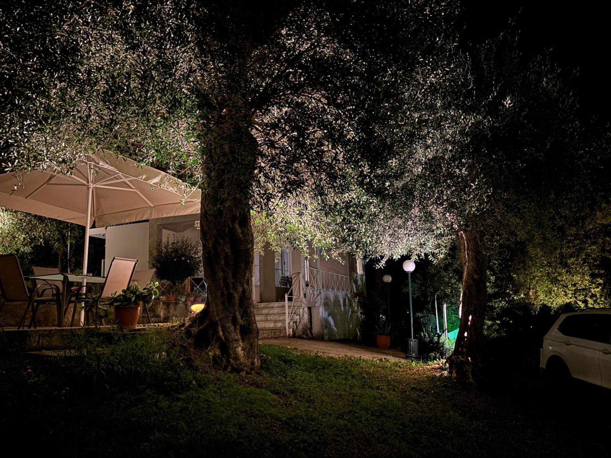 Casa Sofia Villa Дасия Екстериор снимка